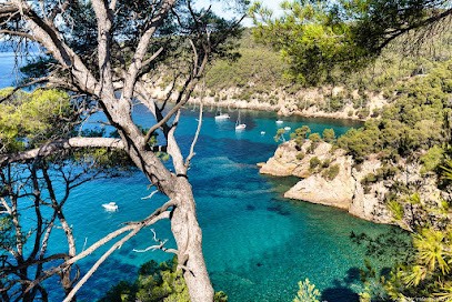 Conciergerie Azur Hotes, Location de Vacances au Beausset