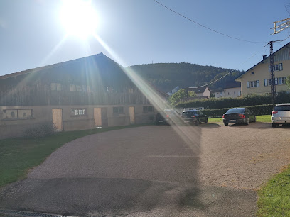 Le Cozy Nest, Location De Vacances à Gérardmer