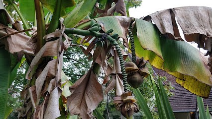La Conciergerie, Location de Vacances à Méritein