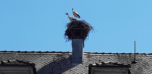 Le Chalet Vosgien, Chambre d'Hôtes à Soultzeren