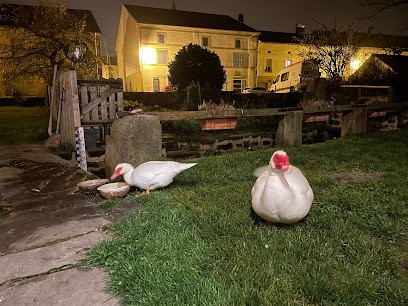 Chambres d'hôtes du Ruisseau d'Argent, Chambre d'Hôtes à Archettes