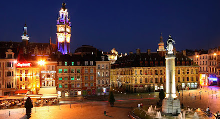 Flandres Appart Hôtel, Location De Vacances à Lille