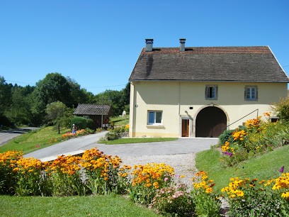 Gite D Olichamp, Chambre d'Hôtes à Saint-Nabord