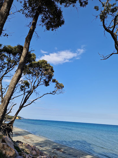 Location De Gîte En Corse - Les Gîtes Soler, Location De Vacances à Santa-Maria-Poggio