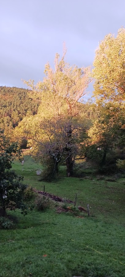 Gîte du Tournailloux Parc Naturel Régional des Monts d'Ardèche, Location de Vacances à Silhac