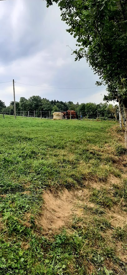 L'élevage De Marly, Chambre d'Hôtes à Groisy