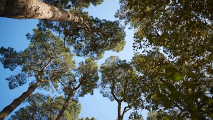 LeDuplex Pinède Maisonnette, Location de Vacances au Pouliguen