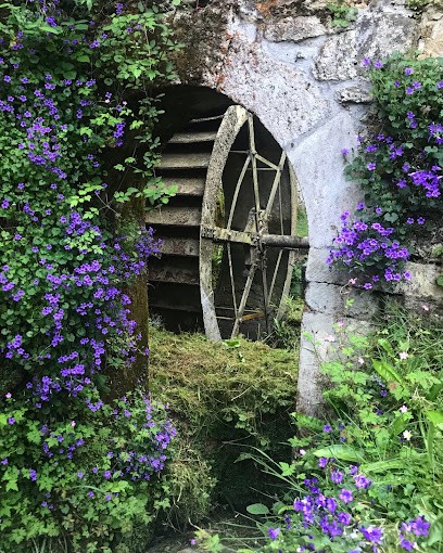 Moulin du Bourrut, Chambre d'Hôtes à Chaniers