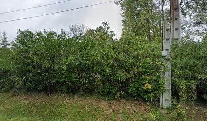 La sfilata, Chambre d'Hôtes à Ménestreau-en-Villette