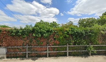 Duquerroy Guy, Chambre d'Hôtes à Chassors