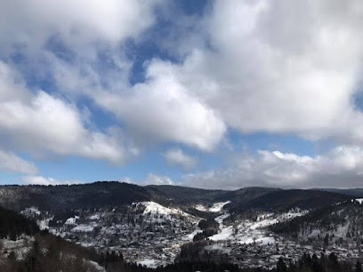 La Maison de Cécile - Location de studios, weekend, vacances à la montagne, Location de Vacances à Ventron