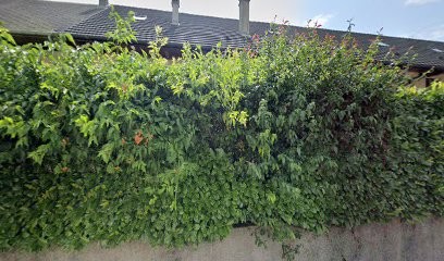 Le grenier à blé, Location de Vacances à Entrelacs