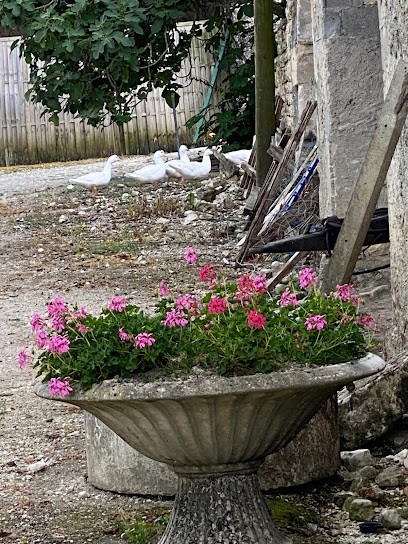 Maison D'hôtes Dufour - Vals De Saintonge, Chambre d'Hôtes à Antezant-la-Chapelle