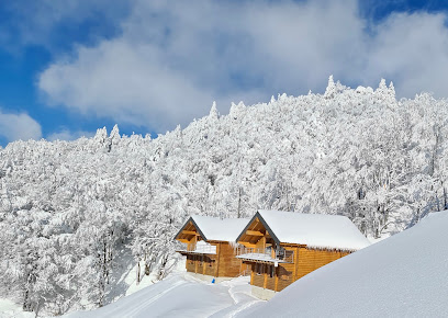 Chalet Du Col Station Du Lioran, Location De Vacances à Saint-Jacques-des-Blats