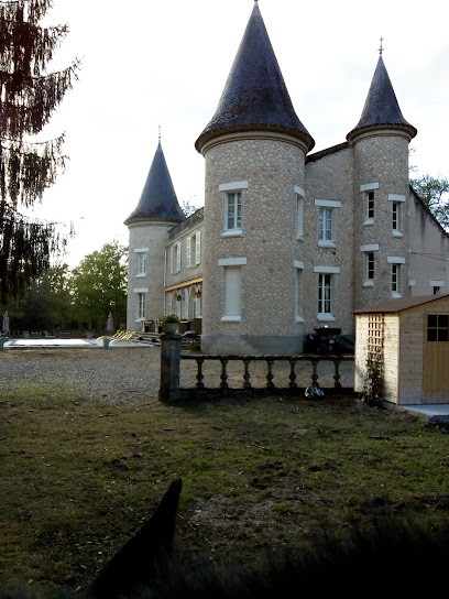 Château du Bas Boulay, Chambre d'Hôtes à Salbris
