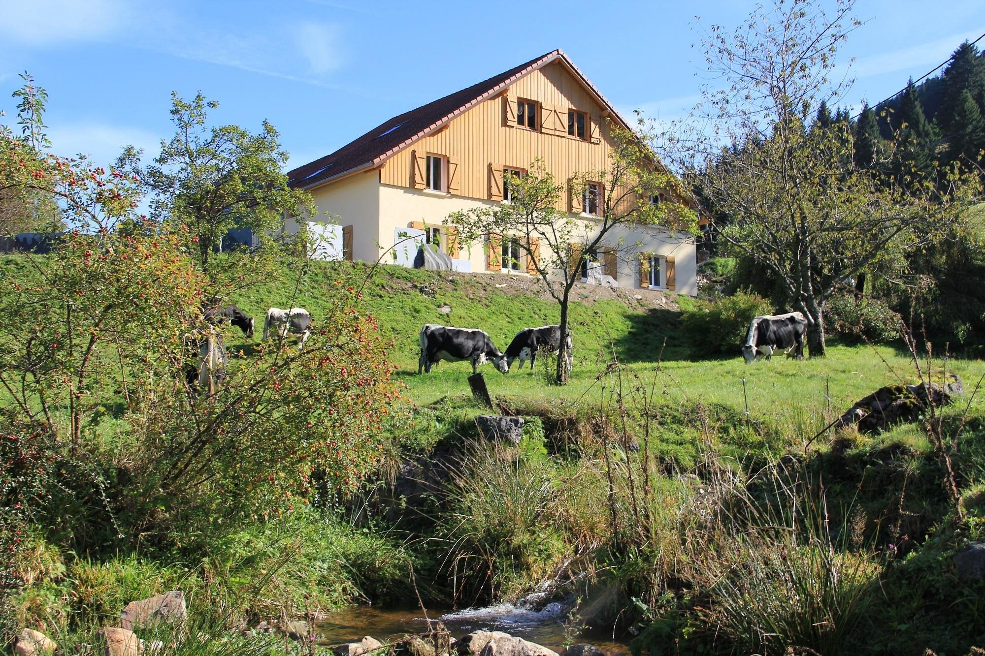 Chez Jeanmyvonne, Chambre d'Hôtes à La Bresse