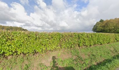 Hent Roman, Chambre d'Hôtes à Saint-Clet