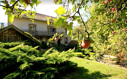 Le P'tit Bonheur - Hébergement Avec Jacuzzi Cœur Des Vosges Location De Vacances à Bionville