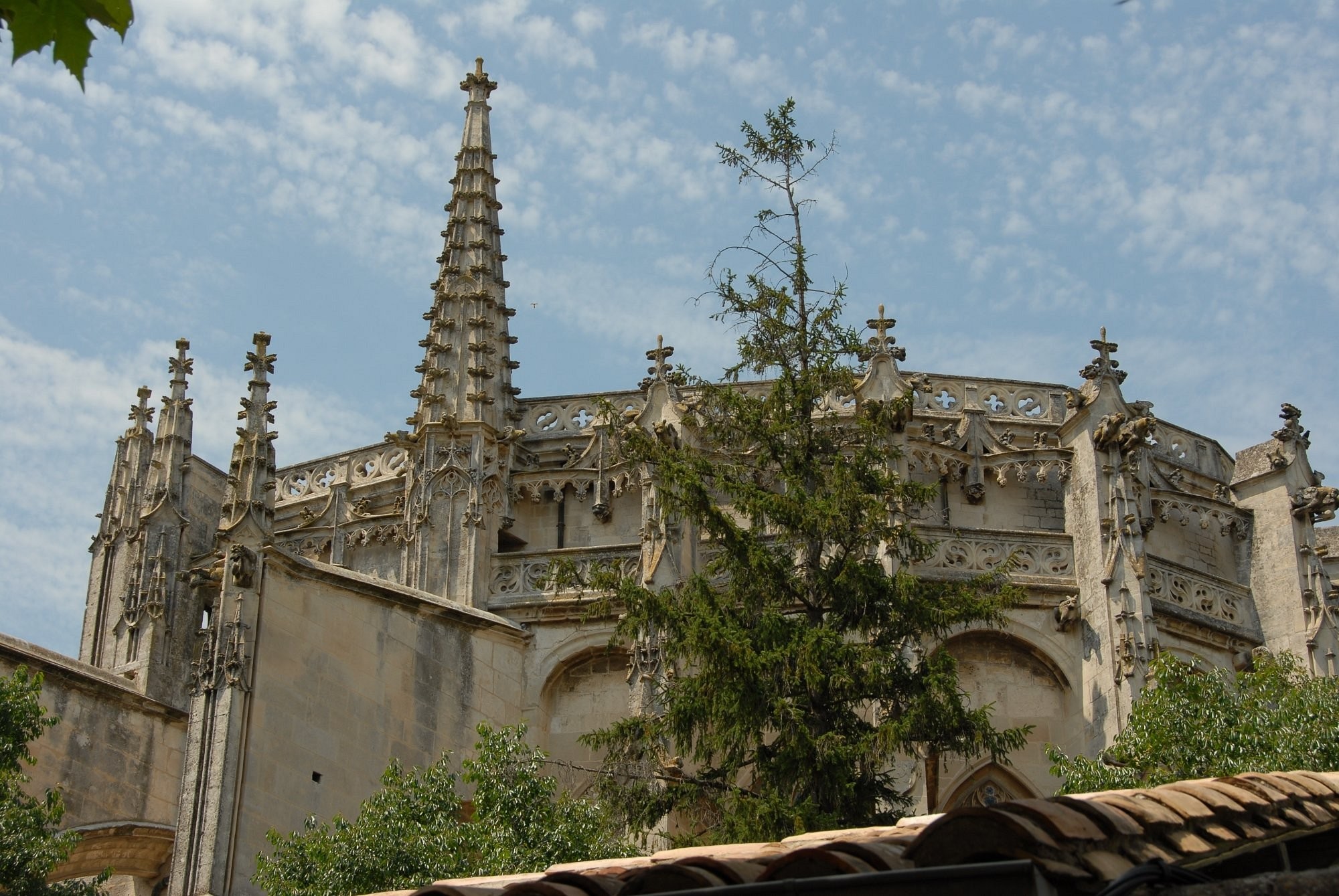 La Devinière, Chambre d'Hôtes à Donzère