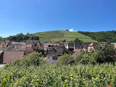 Les Gîtes De La Mère Michèle, Location de Vacances à Katzenthal