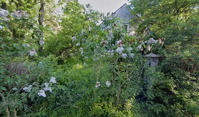 L'embellie, Chambre d'Hôtes à Milly-la-Forêt