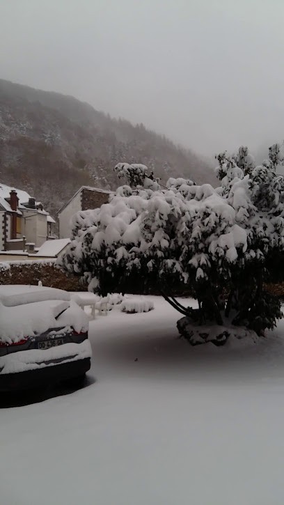 Location Les Gentianes, Location de Vacances à Mont-Dore