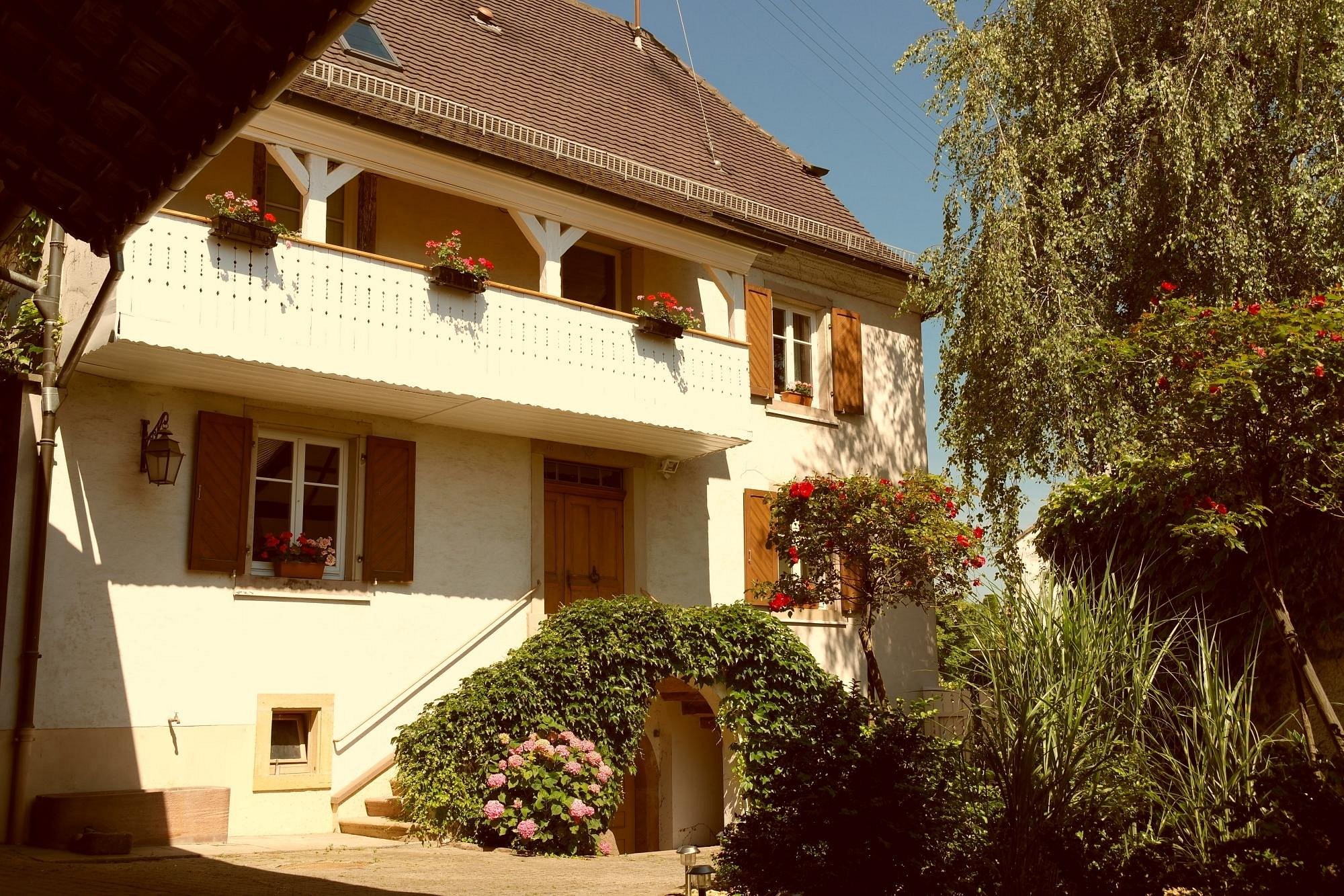 La Vieille Vigne, Maison d'Hôtes à Gundolsheim