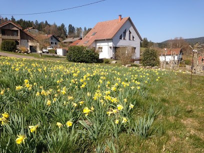 Chalet des Beuquillons - chambre d'hôtes, Chambre d'Hôtes à Gérardmer