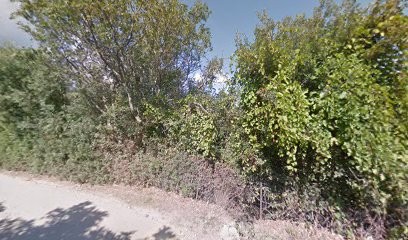 Dolce-Villa, Location de Vacances à Rogliano