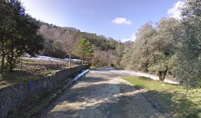 Pulicani Jean, Chambre d'Hôtes à Corte