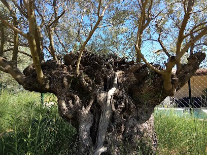 Le Mas des Charrettes - Gîtes - Alain Plantevin, Location de Vacances à Crestet
