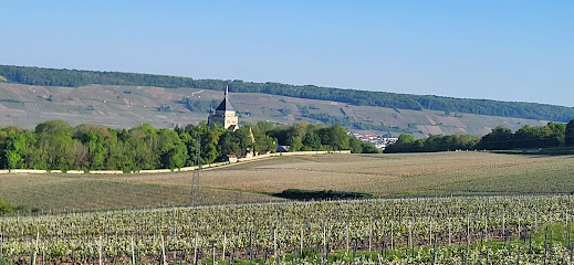 Le Coq De Champagne Et Bulles Du Coq De Champagne, Location De Vacances à Dormans