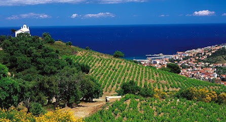 Domaine Pedra Llampada, Chambre d'Hôtes à Saint-Génis-des-Fontaines