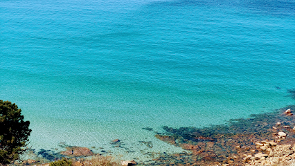 Perros-Guirec Location Appartement 70 M² Vue Mer, Accès Plage, 2 Pas Du Centre !, Location De Vacances à Perros-Guirec