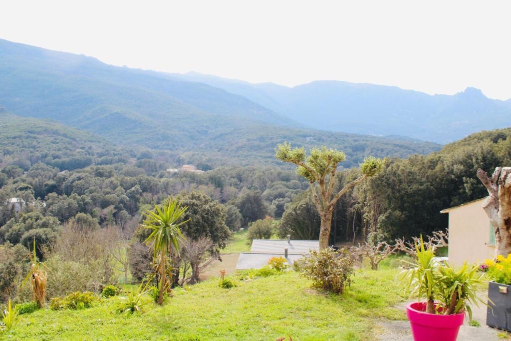 Villa I Bugni, Location de Vacances à Sisco