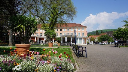 La Maison Forestière, Chambre d'Hôtes à Niederbronn-les-Bains
