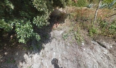 HOTEL E CATARELLE, Chambre d'Hôtes à San-Giovanni-di-Moriani