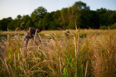 Ma Petite Ferme: table d'hôte paysanne, Chambre d'Hôtes à Auneuil