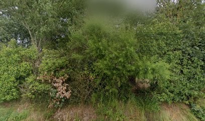 Chambre d'hôtes Marie-Jeanne, Chambre d'Hôtes à Saint-Gervais