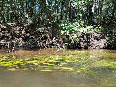 Centre d'Hébergement et loisirs La Tauleyre, Chambre d'Hôtes à Pissos