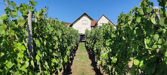 Rose des Vignes, Maison d'Hôtes à Orschwiller