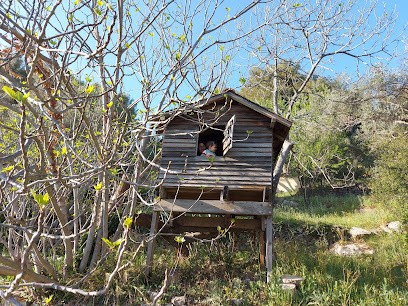 Mas Chamarel, Location de Vacances à Sanary-sur-Mer