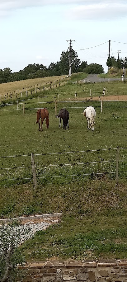 La Parenthèse, Chambre d'Hôtes à Bardos