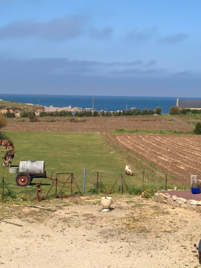SCI ST EDEN, Location de Vacances à Plouescat