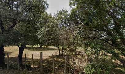 Villa Corsica, Chambre d'Hôtes à Casalabriva