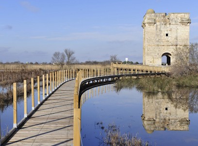 Chambres D'hôtes Chez Thierry, Chambre d'Hôtes à Saint-Laurent-d'Aigouze