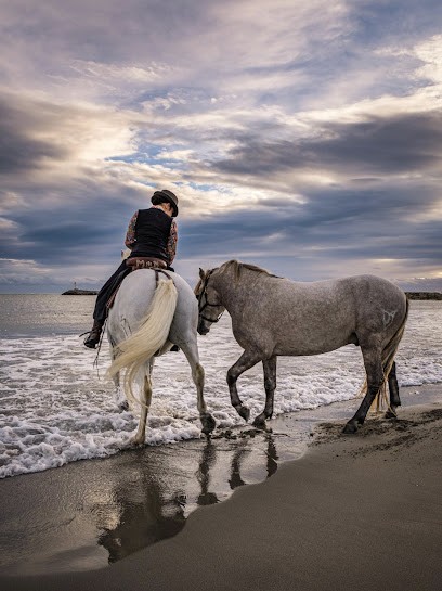 Fe Di Biou, Location de Vacances à Saintes-Maries-de-la-Mer