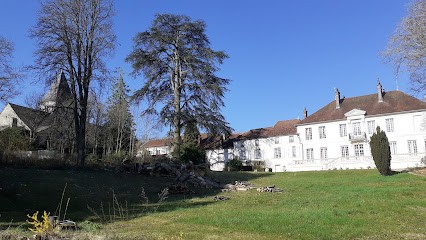 Château De Prauthoy SARL, Chambre d'Hôtes au Montsaugeonnais