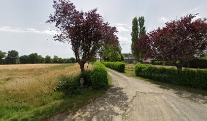 Susan Hazelwood, Chambre d'Hôtes à Baillé