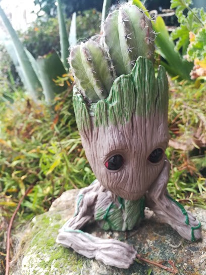 Domaine Des Fées, Chambre d'Hôtes à La Gaubretière